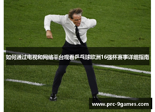 如何通过电视和网络平台观看乒乓球欧洲16强杯赛事详细指南