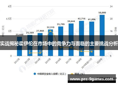 实战揭秘霍伊伦在市场中的竞争力与面临的主要挑战分析