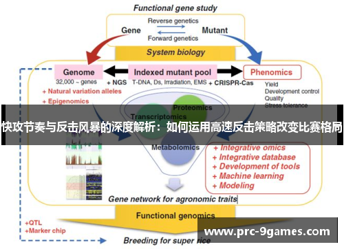 快攻节奏与反击风暴的深度解析：如何运用高速反击策略改变比赛格局